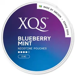 XQS Blueberry Mint - nikotinpåsar